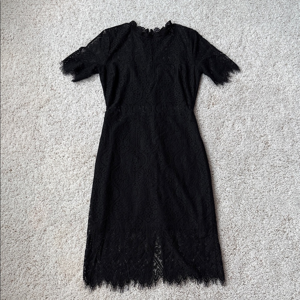 Remarkable Black Sheer Lace Short Sleeve Mini Dress